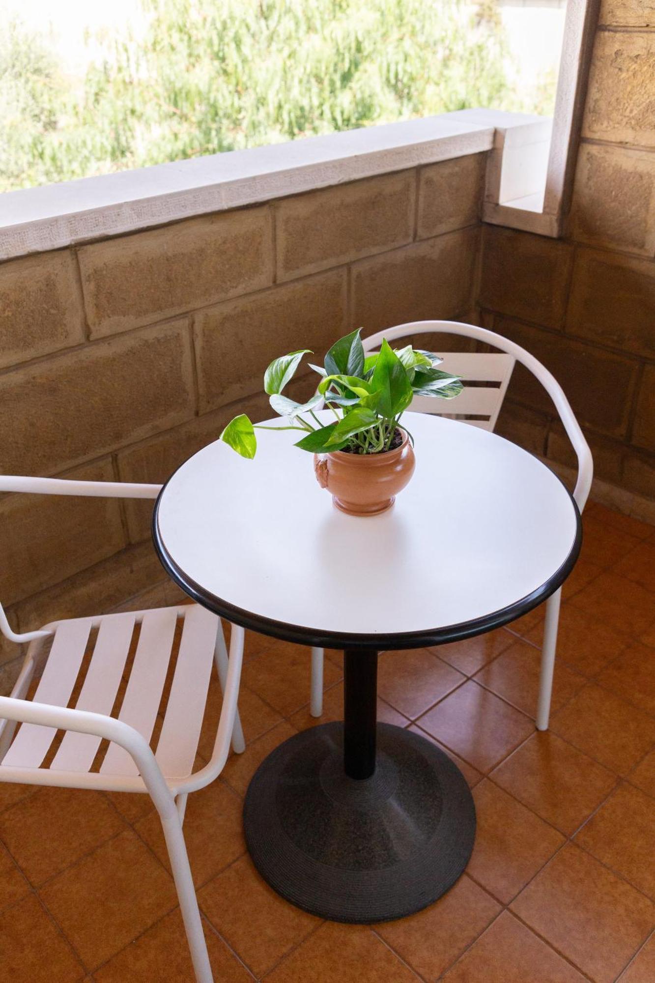 B&B Le Foglie D'Ulivo Bari Exterior foto
